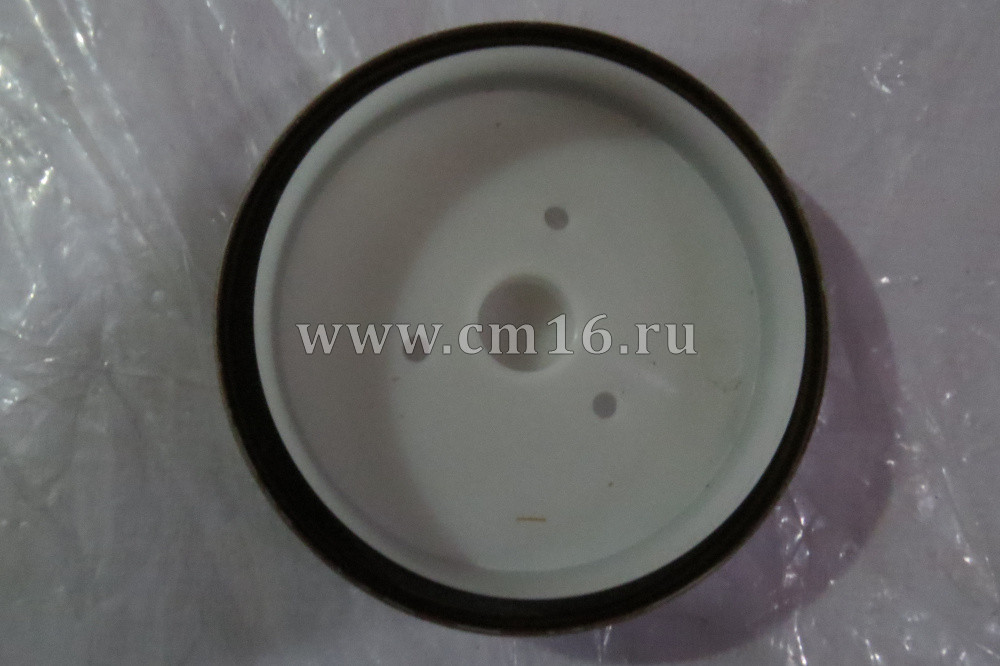 3693669/5265267/4946755 Сальник коленвала задний (110х125х12) ISF2.8 (C)