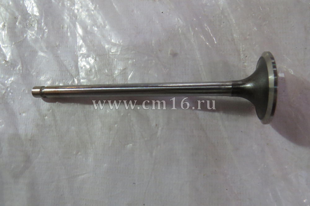 3940735/3802924 Клапан впускной ГБЦ ISBe,ISDe,ISF3.8 E-3,4 (C)