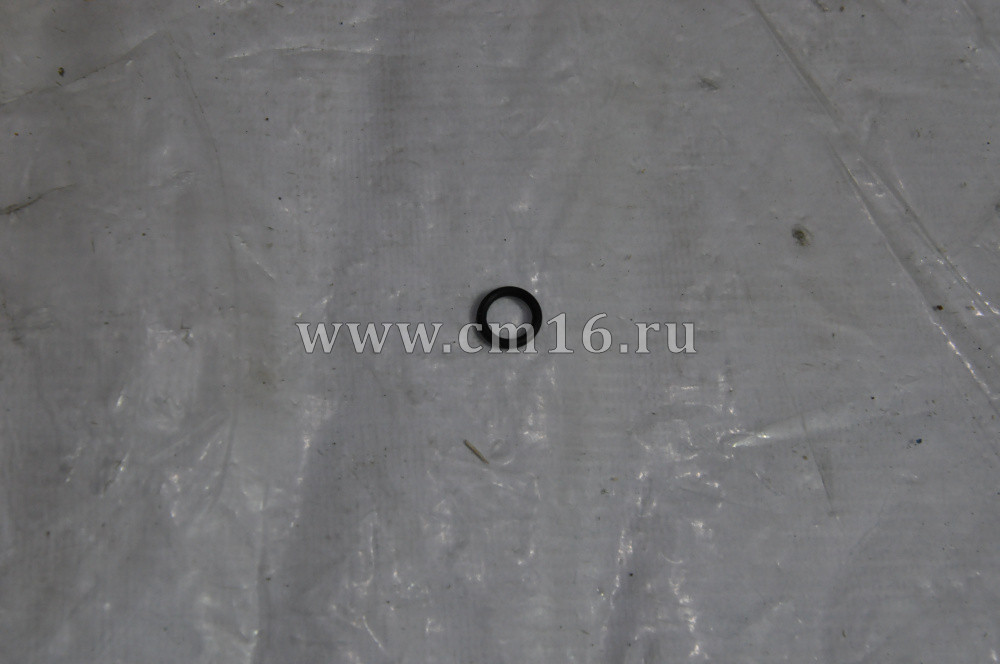 4903482 Кольцо уплотнительное блока управления, щупа ISBe,ISF (O+)